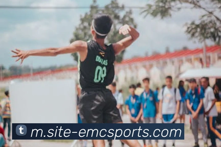 体育下注平台生态图