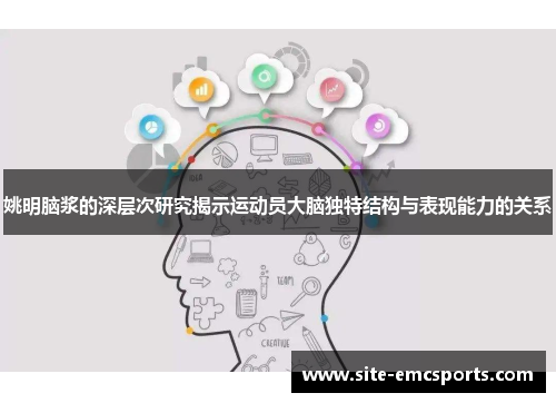 姚明脑浆的深层次研究揭示运动员大脑独特结构与表现能力的关系