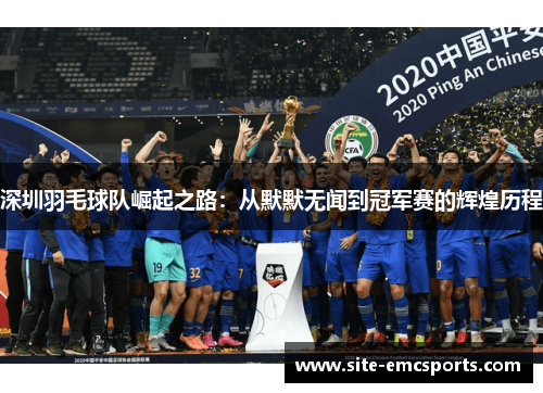 深圳羽毛球队崛起之路：从默默无闻到冠军赛的辉煌历程