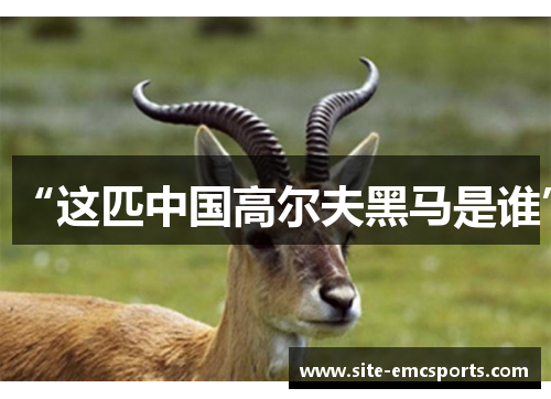 “这匹中国高尔夫黑马是谁”